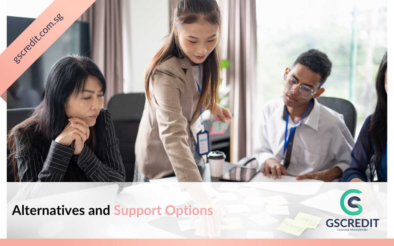 Alternatives and Support Options